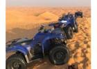 Experience the Thrill of a Desert Safari in Dubai Morning