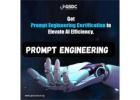 Get Prompt Engineering Certification to Elevate AI Efficiency.