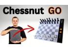 Play Chess Anytime, Anywhere with Chessnut Go!