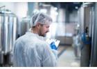 Precision Temperature Probes for Food Safety