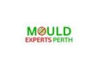 Expert Perth Water Leak Detection Services