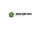 Aussie Hemp Seeds