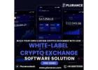 Accelerate your crypto venture with Our White-label crypto exchange software