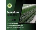 Spirulina Farming Business | Spirulina Industry Trends & Insights