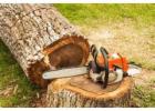 Best Stump Grinding Services in Para Hills West