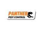 Panther Pest Control Streatham