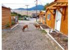 Escape to Nature's Wonderland: Discover Charming Cabins in Yellowstone!