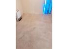 Find holistic cleanup solutions from the Best Carpet Cleaning Company in Adelaide