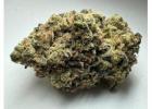 Buy Apple Fritter Strain Online