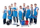 Best cleaning services in Thousand Oaks Ca