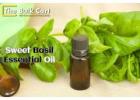 Sweet Basil Essential Oil Bulk Buy – The Bulk Cart