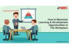 How to Make the Most of Workplace Learning and Development Possibilities!