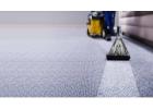 Trusted Carpet Cleaning Professionals Near You in