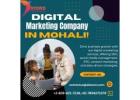 Best Digital Marketing Company in Mohali!