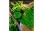 Andi’s Way – Fresh Cut Wheatgrass & Microgreens