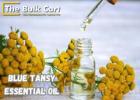 Blue Tansy Essential Oil Bulk Supplier – The Bulk Cart