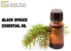 Wholesale Black Spruce Essential Oil Distributor – Best Deals