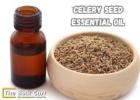 Celery Seed Essential Oil Bulk Supplier – Order Today