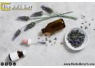 Lavender Essential Oil Bulk Supplier – Order Today