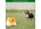 Automatic Dog Ball Launcher Toy