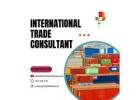 International Trade Consultant for Global Business Growth