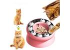 Improve Pet’s Comfort Level with Pet Care Products