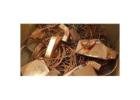 High-Quality Copper Scrap in Ahmedabad - Trusted Supplier Since 1989