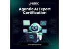 Why Agentic AI Expert Certification Is the Future of AI Careers