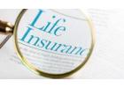 Can You Cash Out A Life Insurance Policy?