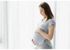 How to Prepare for IVF: Medical, Emotional & Lifestyle Guide