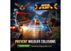 How Smart Technology is Transforming Night Driving Wildlife Safety