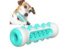Improve Pet’s Comfort Level with Pet Care Products
