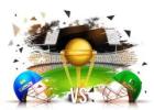 Discover the Best AI Cricket Prediction Site for Accurate Insights