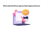 White Label WordPress Agency | Boost Agency Revenue