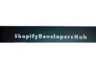 custom shopify development in delhi | shopify company in delhi
