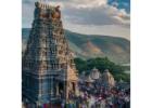Karnataka Temple Tours Packages with Divine South India Experience