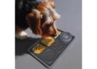 Improve Pet’s Comfort Level with Pet Care Products