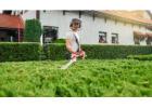 Trusted Hedge Trimming Services Auckland by Nextmow