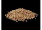 cumin seeds suppliers in india - bulk