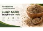 Cumin seeds wholesale suppliers in India