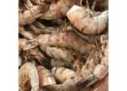Fresh Shrimp For Sale Online