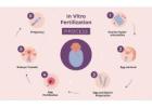 IVF Treatment In Delhi - Dr Rhythm Gupta