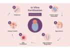 IVF Treatment Cost In Delhi - Dr Rhythm Gupta