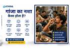 Ganja Ka Nasha Kaisa Hota Hai? Know Effects & Get Help
