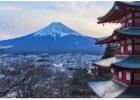 Executive VIP Travel Concierge | Silverwing Travel & Concierge