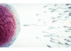 IUI Treatment Cost in Delhi - Dr Rhythm Gupta