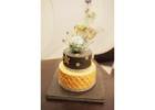 Premium Custom Cakes in Delhi NCR Creative Designs