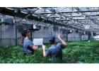 Find Best Nursery Business Software & Greenhouse ERP Here