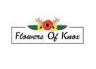 Same Day Flower Delivery Wantirna south