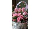 Birthday Flowers Delivery